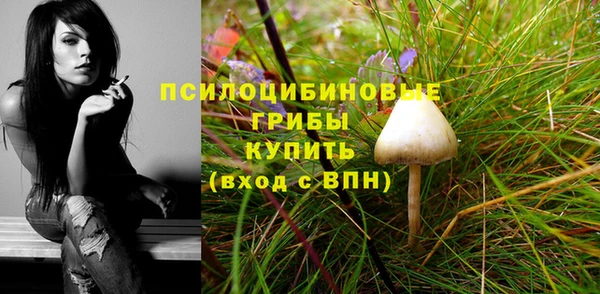 скорость Богородск