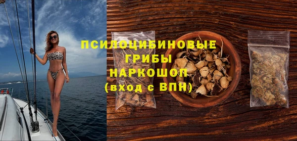 крисы Слюдянка
