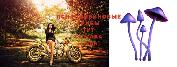 скорость Богородск