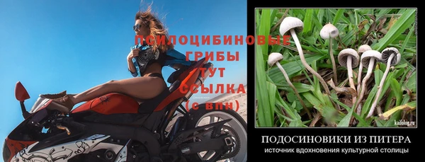 герыч Богданович